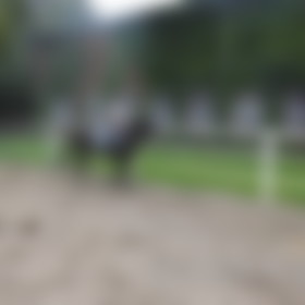 tanja k., Single aus Groß Siemz, Deutschland, weiblich tanja k., Single aus Groß Siemz, Deutschland, weiblich