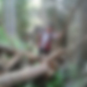 stefan H., Single aus Salzburg, Österreich, männlich stefan H., Single aus Salzburg, Österreich, männlich