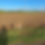 Jens, Single from Halle (Saale) (Saaleaue)