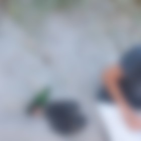 Daniel H., Single aus Baumgarten bei Bützow (Güstrow), Deutschland, männlich Daniel H., Single aus Baumgarten bei Bützow (Güstrow), Deutschland, männlich