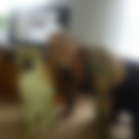 axel s., Single aus Löwenberger Land, Deutschland, männlich axel s., Single aus Löwenberger Land, Deutschland, männlich