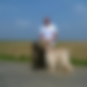 Frank K., Single aus Dresden (Dresden), Deutschland, männlich Frank K., Single aus Dresden (Dresden), Deutschland, männlich